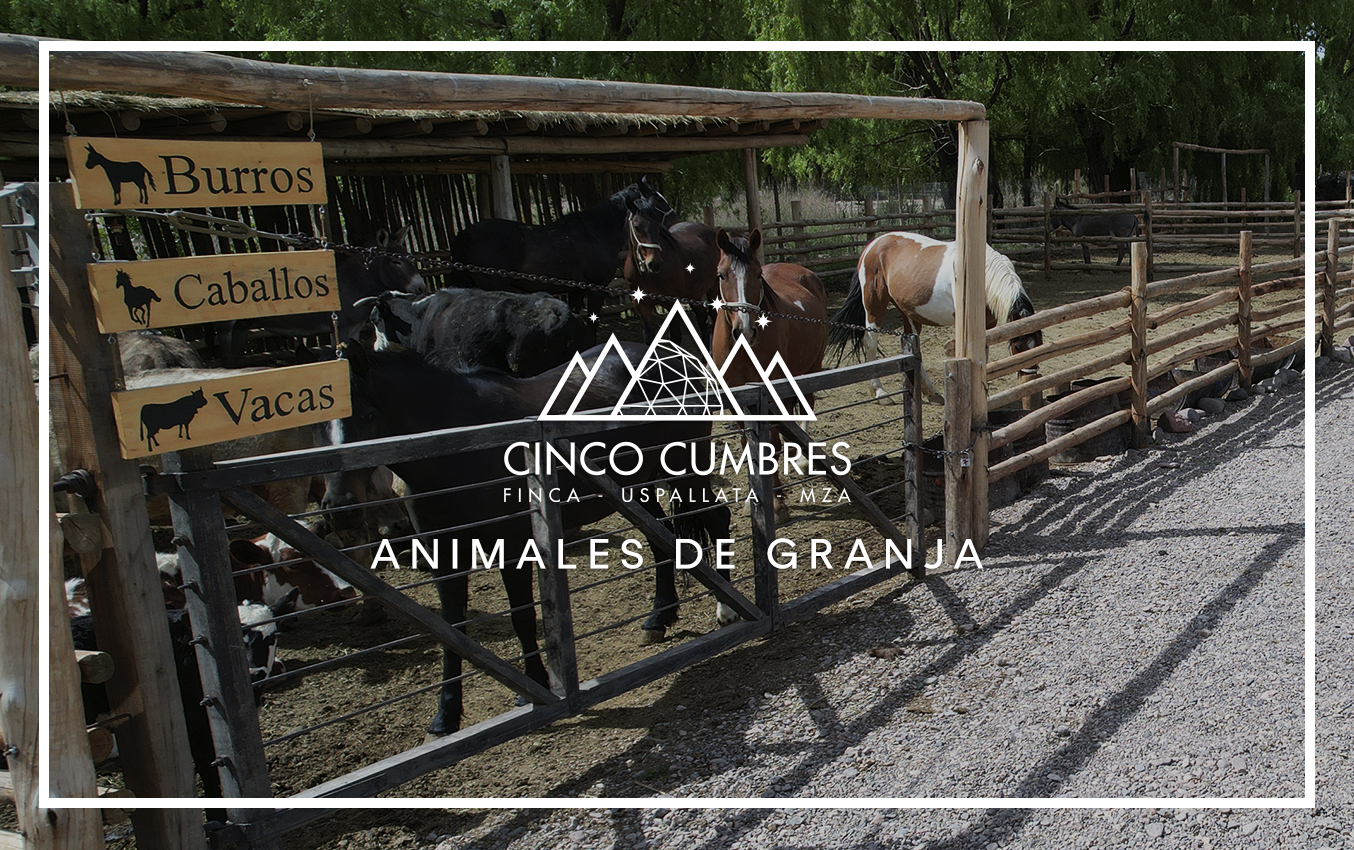 Animales de granja